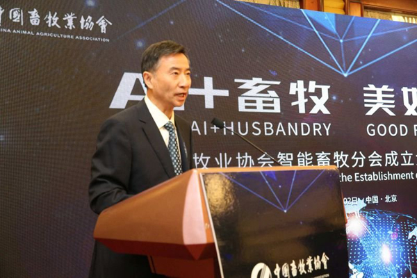 HJC888�ƽ�ǡ�(�й�����)����