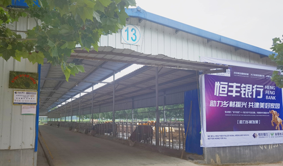 HJC888�ƽ�ǡ�(�й�����)����