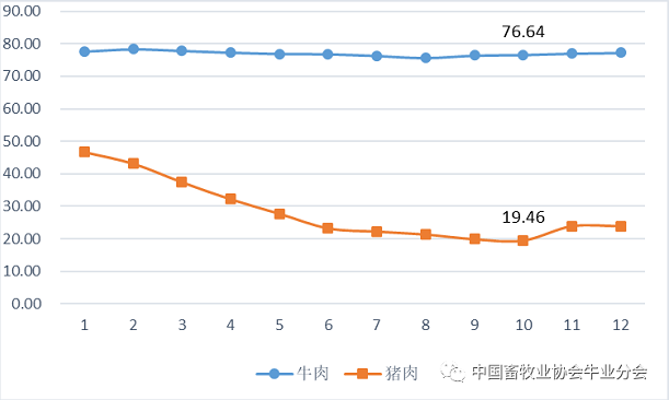 HJC888�ƽ�ǡ�(�й�����)����