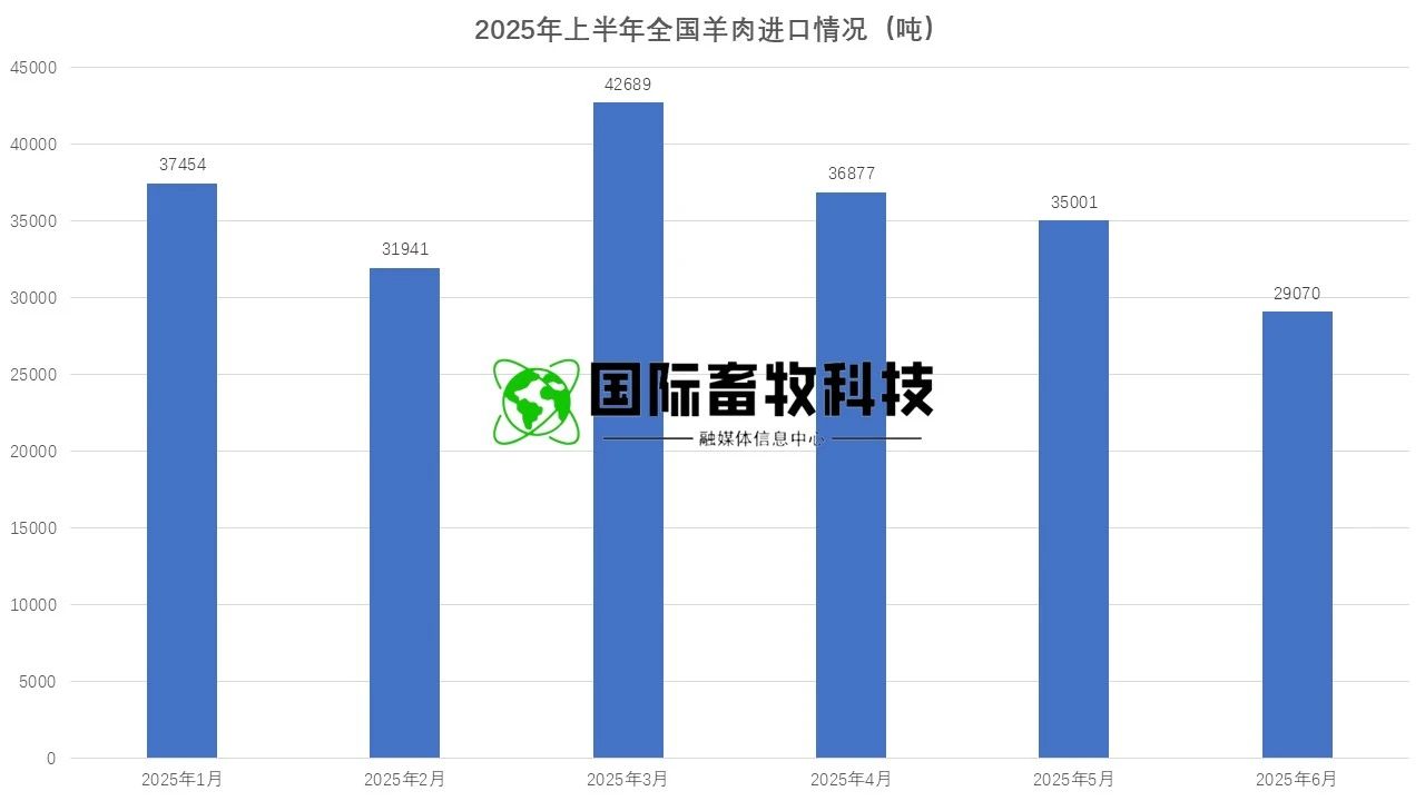 20250722145464146414 HJC888»Æ½ð³Ç¡¤(Öйú¼¯ÍÅ)¹ÙÍø