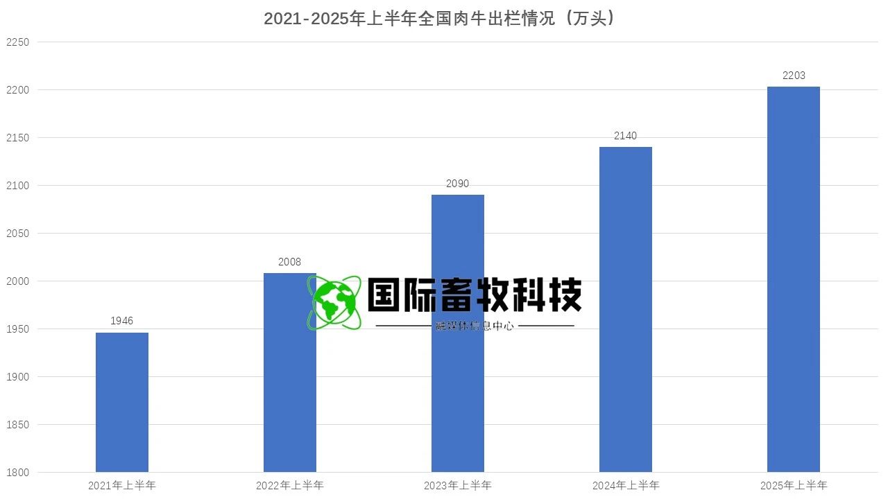 HJC888�ƽ�ǡ�(�й�����)����